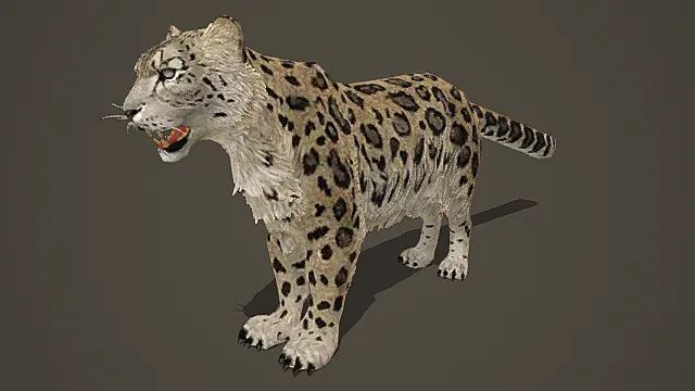 自然写实风格雪豹模型