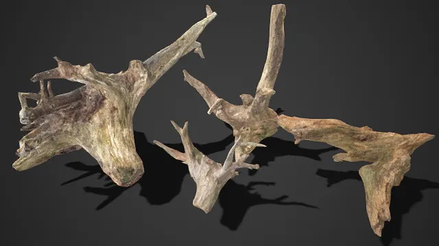 写实风格  风化朽烂  枯木残枝  荒芜  植被类场景  腐坏树枝  老树根