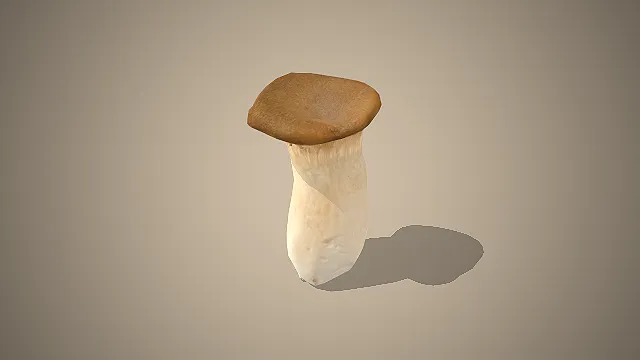 杏鲍菇  棕褐色菌盖  食用真菌  营养丰富