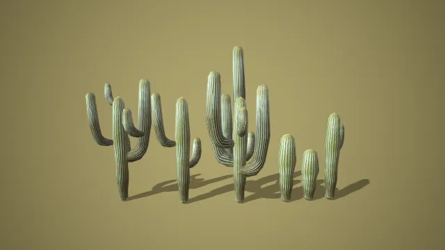 沙漠仙人掌组合 3D 低多边形场景装饰模型
