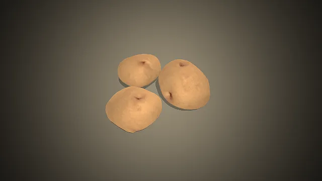 三颗写实的土豆的3D模型