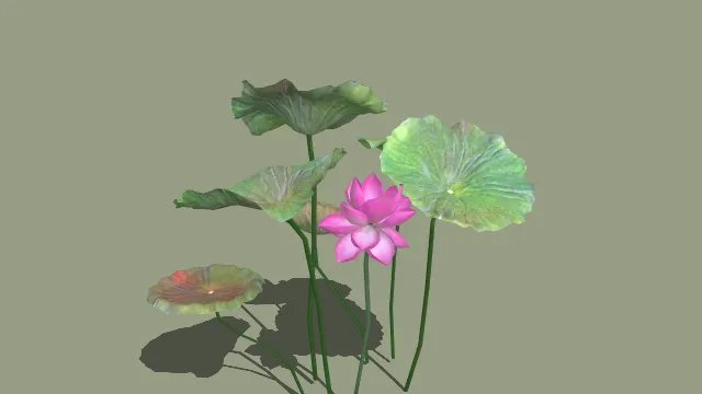 写实风格单朵粉莲荷叶组合 3D 中式水景装饰道具模型