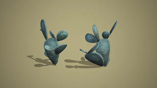 双株团扇仙人掌组合 3D 低多边形沙漠场景装饰模型
