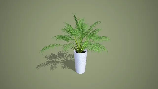 写实风格水泥高盆散尾葵盆栽 3D 室内装饰植物模型