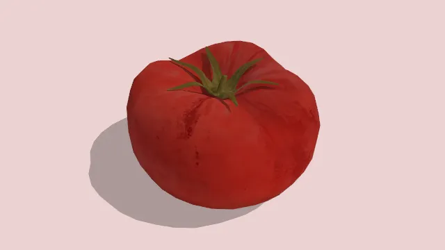 西红柿番茄蔬菜食品模型