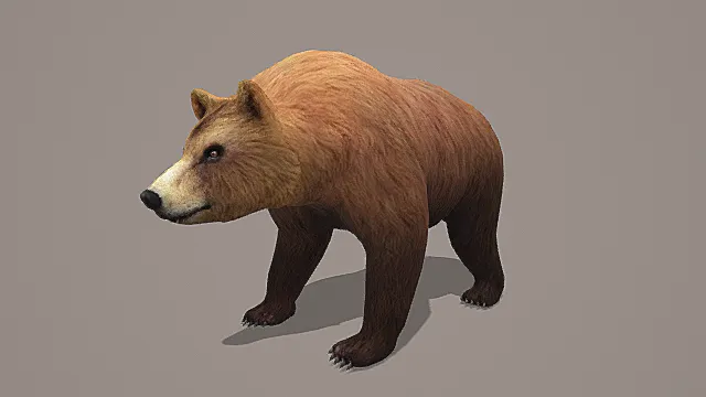 超写实猛兽生物素材棕熊3D模型 