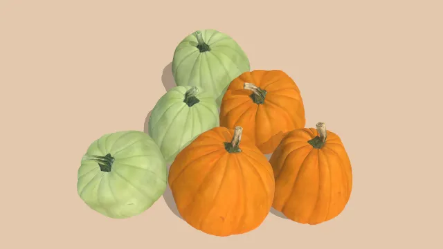 一堆南瓜有橙色有绿色蔬菜食物