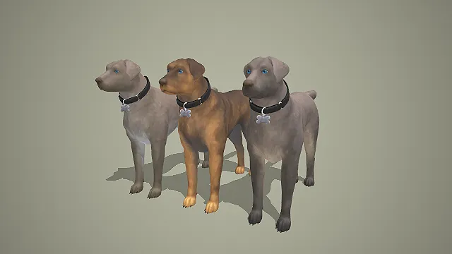 三色拉布拉多犬带骨形吊牌 3D 模型 温顺宠物犬角色素材