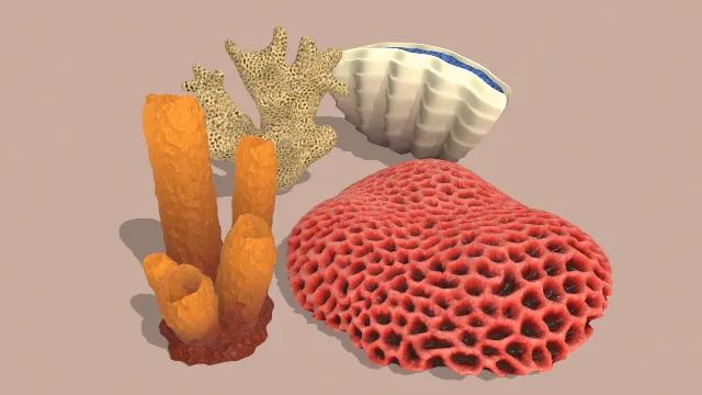 低多边形珊瑚模型海洋产物