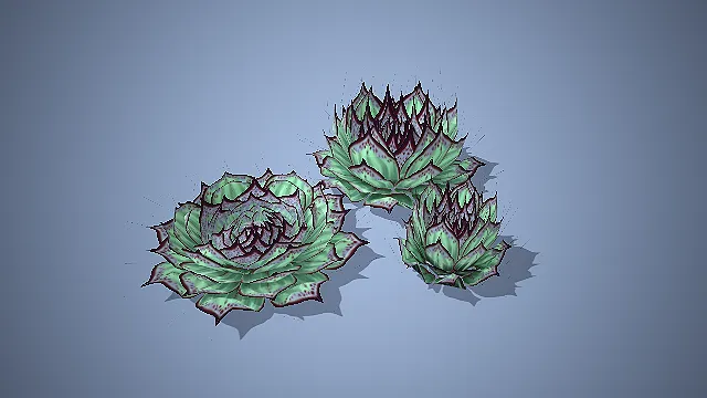 紫边莲座状多肉植物组合带斑叶 3D 模型