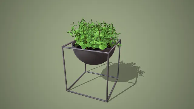 写实风格黑架圆盆茂密绿叶盆栽 3D 室内装饰植物模型
