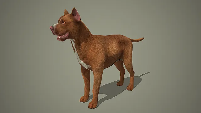 写实风棕白相间比特犬 3D 模型