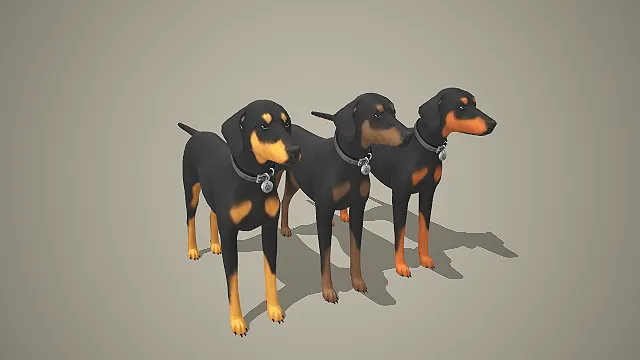 黑棕杜宾犬带项圈 3D 模型 写实成犬宠物角色素材合集