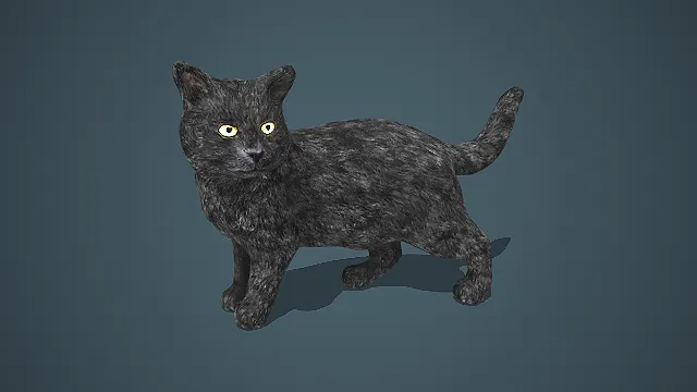 写实风格回头张望姿态黑猫 3D 模型