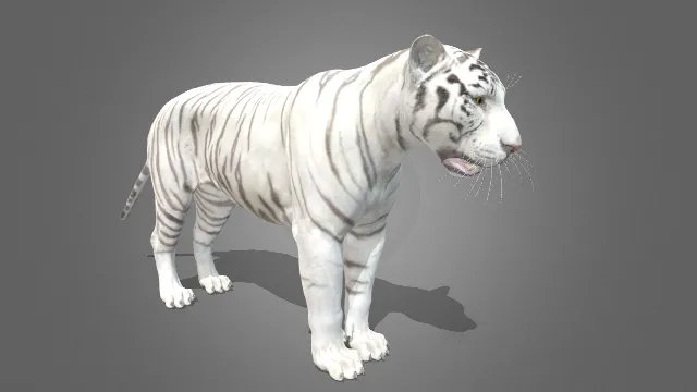 黑神话  老虎  动物  游戏模型  手办