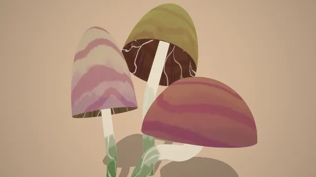 卡通风格化蘑菇植物菌类