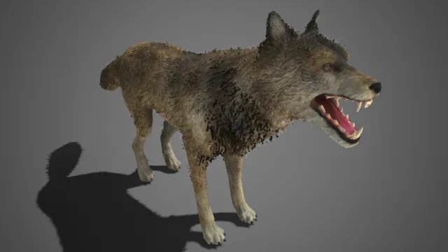 野性凶悍  灰狼  灰褐交织的糙毛  荒野生物  尖锐獠牙  眼神暴戾呈嘶吼姿态  森林  写实风格