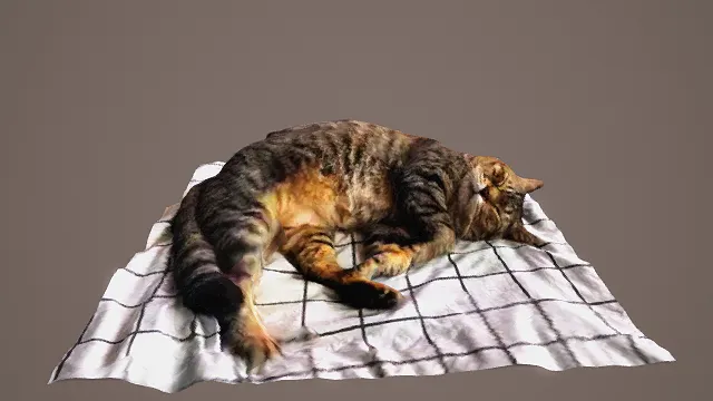 3D写实风虎斑猫休憩模型，创意设计（3D虎斑猫、写实风格、蜷卧姿态、慵懒治愈、宠物写实、生活气息）