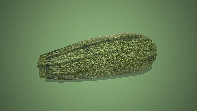 西葫芦  葫芦科蔬菜  低脂食材  夏秋季蔬菜