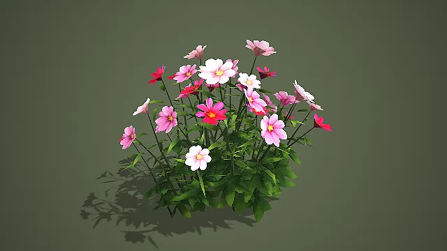 低模混色波斯菊 3D 模型 游戏场景田园花卉素材