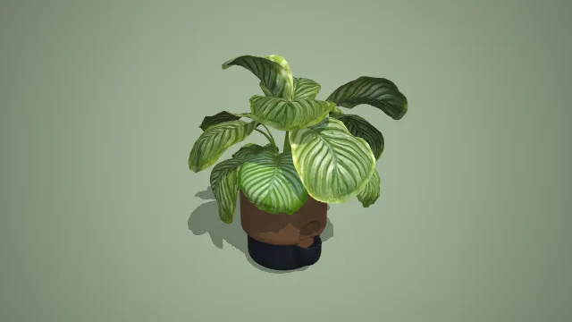 带接水盘的条纹观叶盆栽绿植 3D 模型