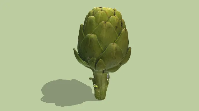 朝鲜蓟植物蔬菜绿色食物