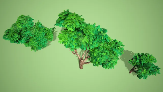 小树  树木  植被  大树  绿植