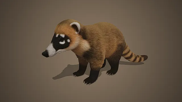 萌系写实貉（狸）模型