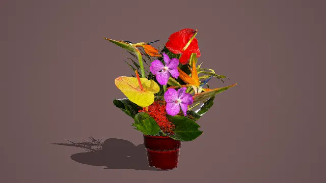 写实风格3D多彩花卉盆栽模型，创意设计（写实多彩花卉盆栽、多色花朵主色调、红掌、兰花、鹤望兰等花卉、绿叶与棕盆）