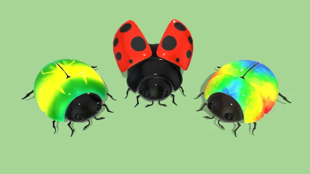 甲虫瓢虫昆虫大自然生物