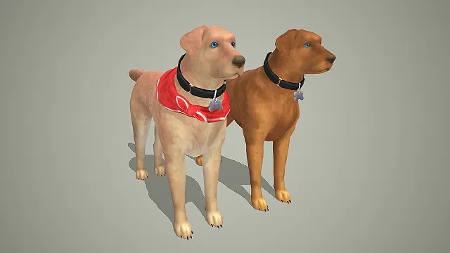双色拉布拉多犬带红围巾 3D 模型 宠物犬角色素材合集