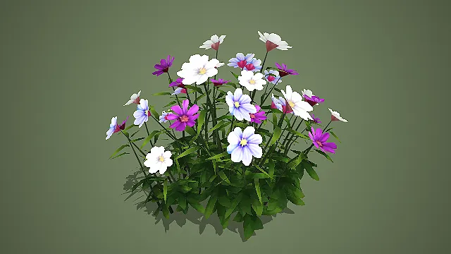 低模蓝白紫混色波斯菊 3D 模型 游戏场景花卉素材
