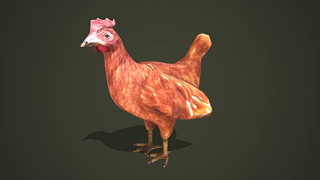 写实风格母鸡站立姿态 3D 模型