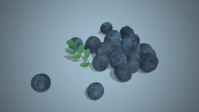 一个写实风格的3D浆果类水果蓝莓模型