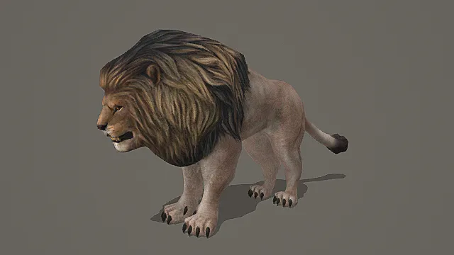 非洲雄狮超写实影视级3D模型 