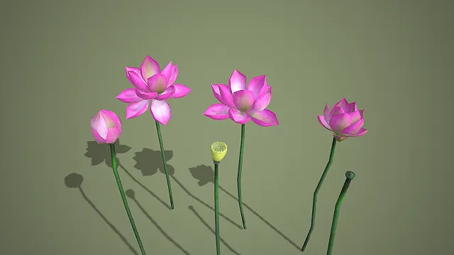 写实风格粉莲花苞莲蓬组合 3D 中式水景装饰道具模型