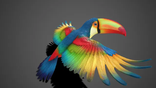 巨嘴鸟  渐变色彩  热带鸟类  自然  饱满的色彩  羽纹层次丰富