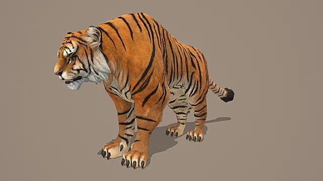 西伯利亚虎（东北虎）超写实影视级3D模型