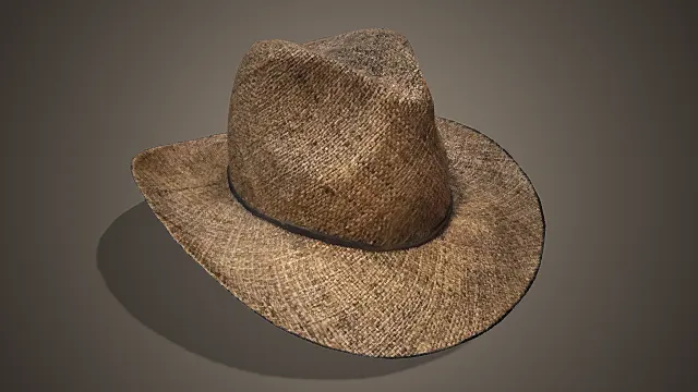 复古草编宽檐帽模型