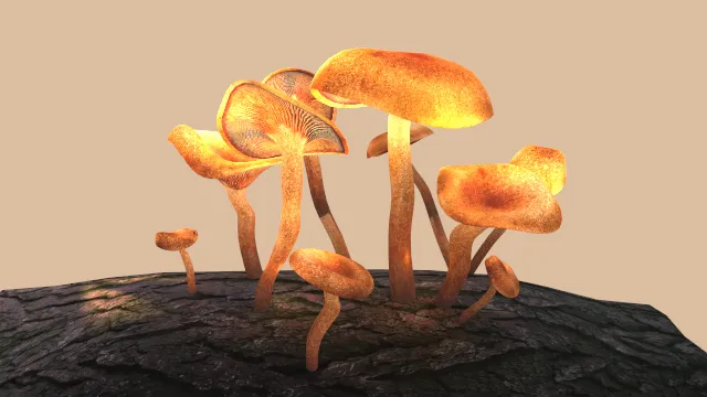 树上的蘑菇真菌树枝场景模型