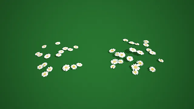 散落雏菊花簇组合 3D 低多边形地面花卉场景装饰模型