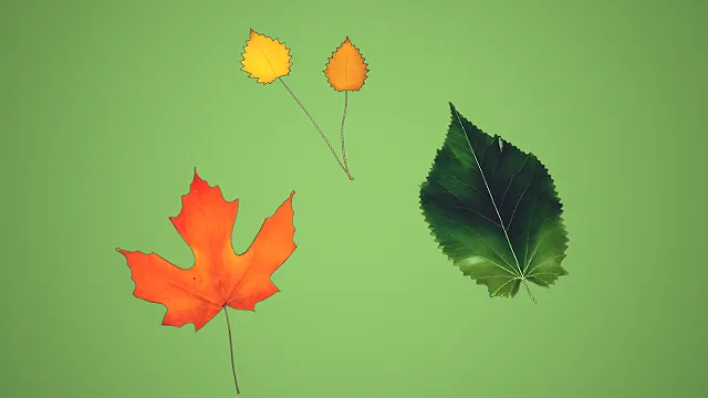 我想在模型素材网站上上传一个如图所示的模型