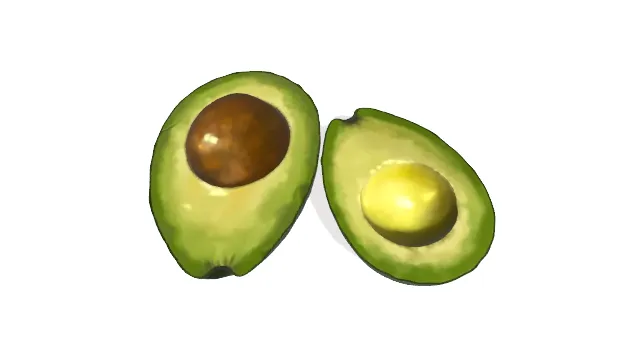 彩绘风格牛油果水果果肉食物静物