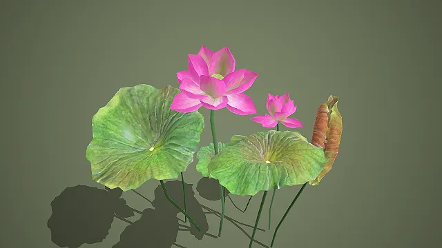 写实风格双朵粉莲花苞荷叶组合 3D 中式水景装饰道具模型