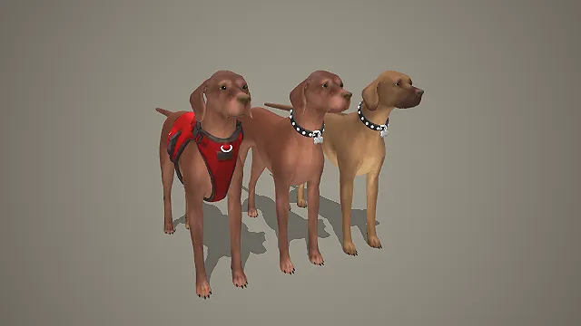 三色威玛猎犬带配饰 3D 模型 写实工作犬角色素材合集