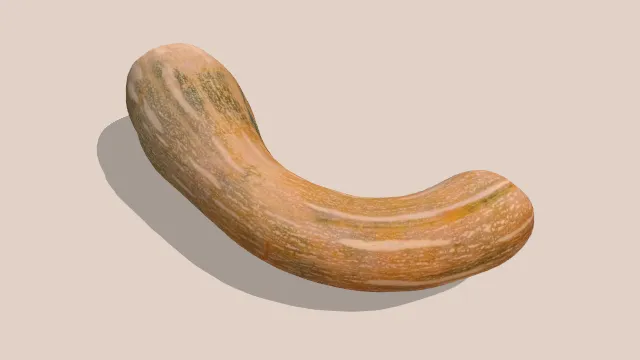 现实南瓜扫描蔬菜植物