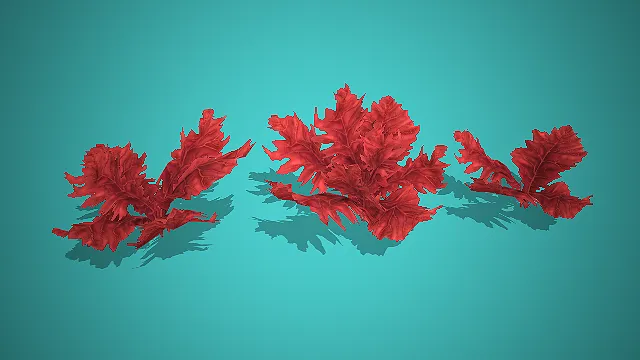 深红叶片状多形态海洋藻类组合 3D 模型