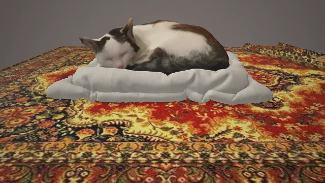 躺在地毯上的猫咪  可爱猫咪  