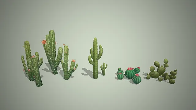 沙漠仙人掌  场景装饰  自然清新质感  荒漠元素
