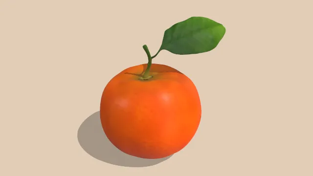 水果橘子模型保留有枝叶的食物